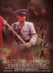国产大片视频免费观看